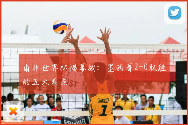 南非世界杯揭幕战:墨西哥2-0取胜的五大看点